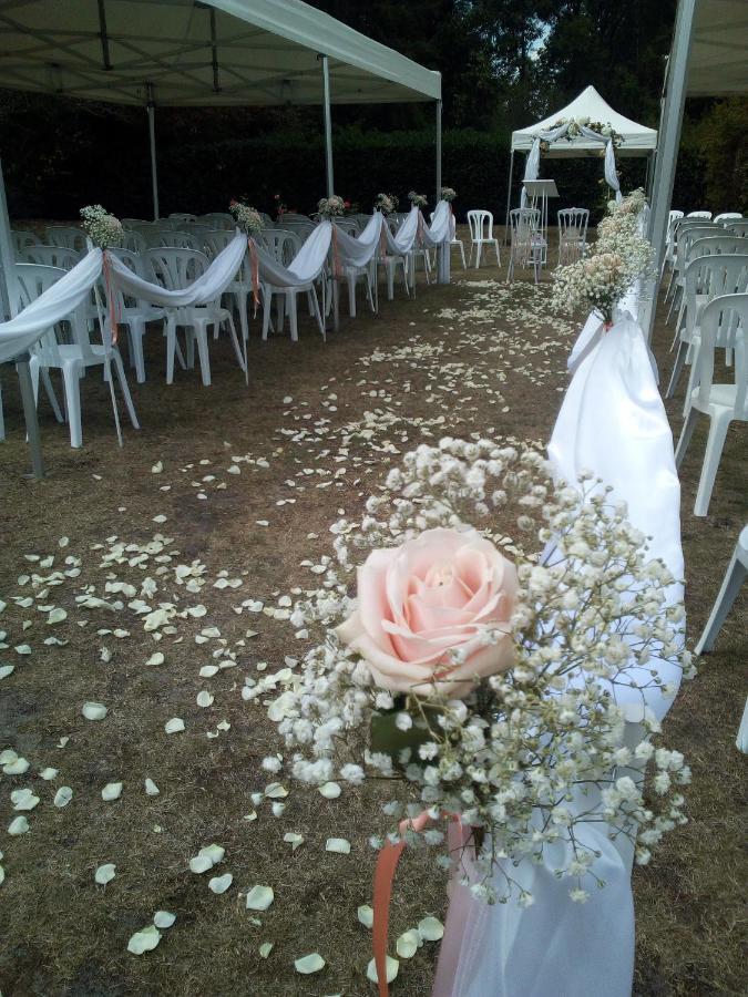 Logis Domaine De Valaudran Hotel ซาลบรีส์ ภายนอก รูปภาพ